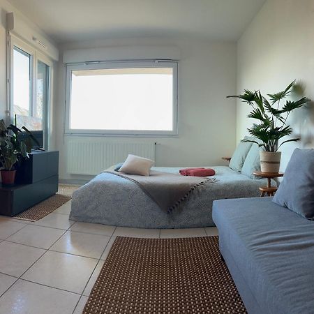 Jolie Vue Au Calme Apartment Évian-les-Bains Екстериор снимка