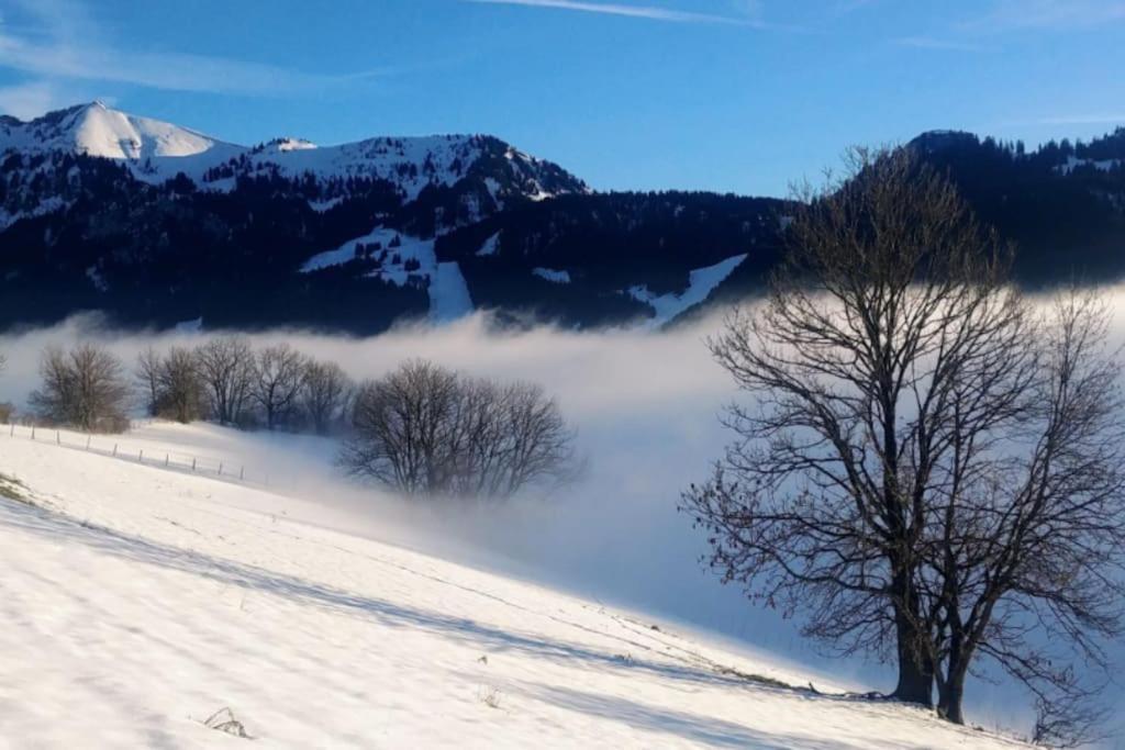 Jolie Vue Au Calme Apartment Évian-les-Bains Екстериор снимка
