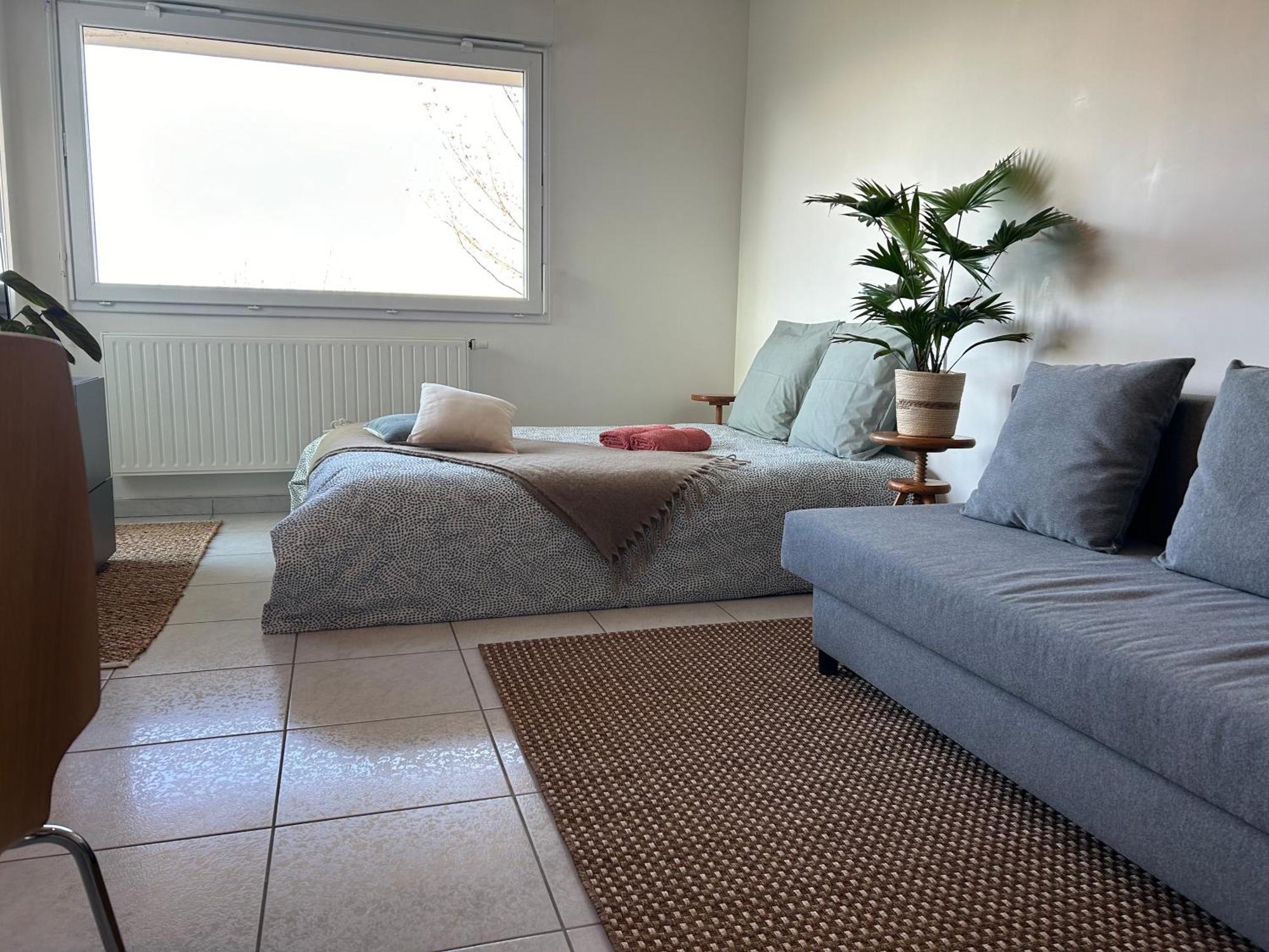 Jolie Vue Au Calme Apartment Évian-les-Bains Екстериор снимка